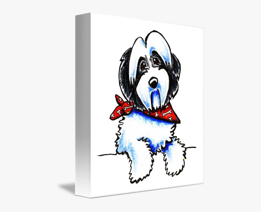 Black Parti Havanese - Tibetan Terrier, Transparent Clipart