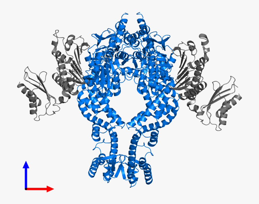 Graphic Design, Transparent Clipart