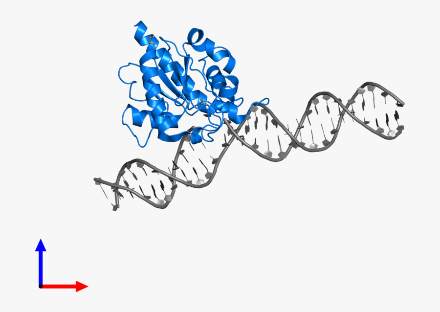 Drawing, Transparent Clipart