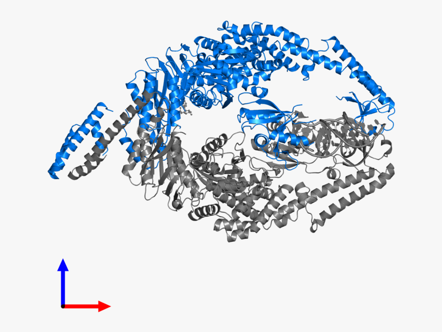 Graphic Design, Transparent Clipart
