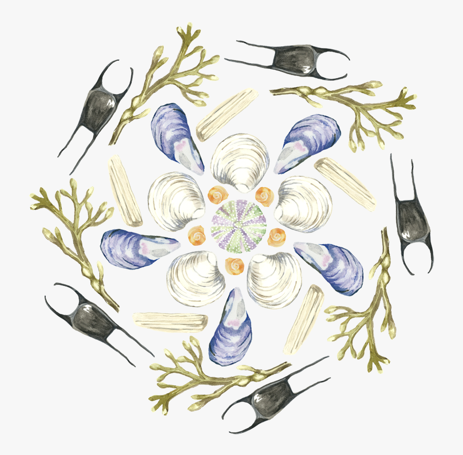 Painter Clipart Oil Painting - Columbine, Transparent Clipart