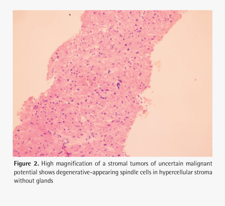 Clip Art Journal Of Urological Surgery - Orange, Transparent Clipart