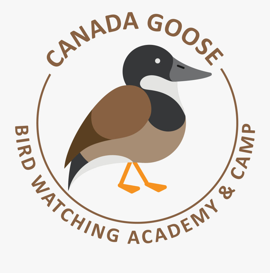 Canada Day Clip Art, Transparent Clipart