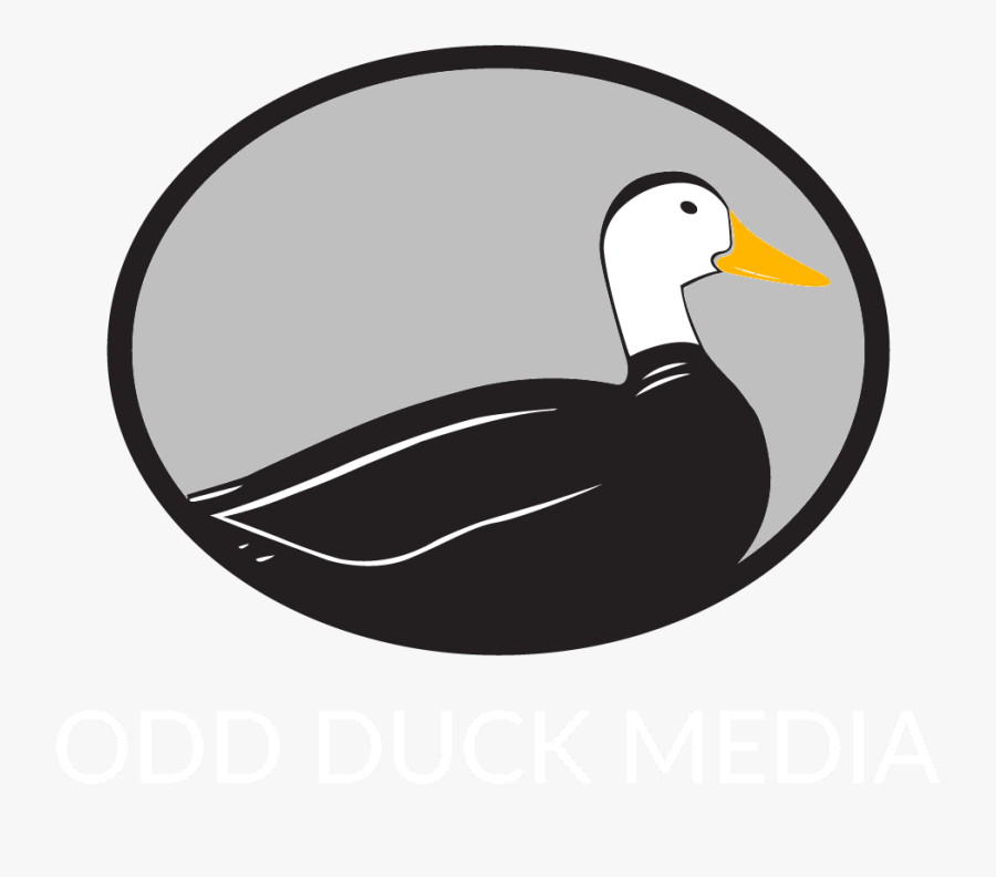 Collection Of Free Gyse - Duck, Transparent Clipart