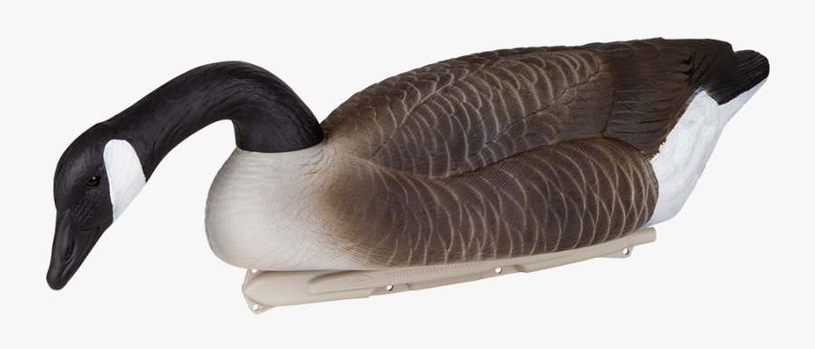 Transparent Goose Head Png - Chaise Longue, Transparent Clipart
