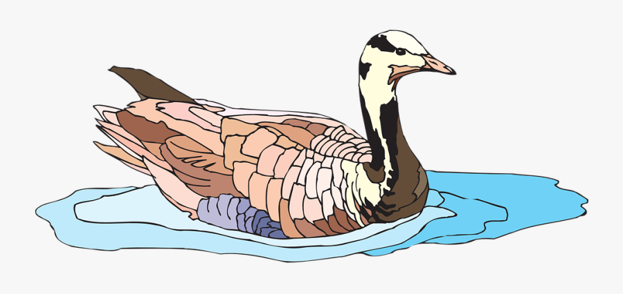 Water, Bird, Goose, Bar-headed, Swimming, Colors, Wings - Bar Headed Goose Clipart, Transparent Clipart
