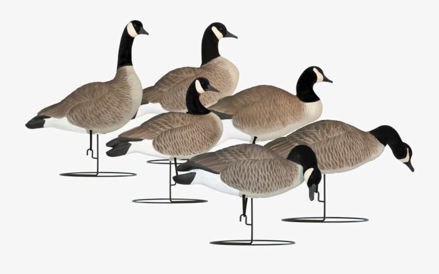 Hardcore Hungry Honkers Goose Decoys, Transparent Clipart