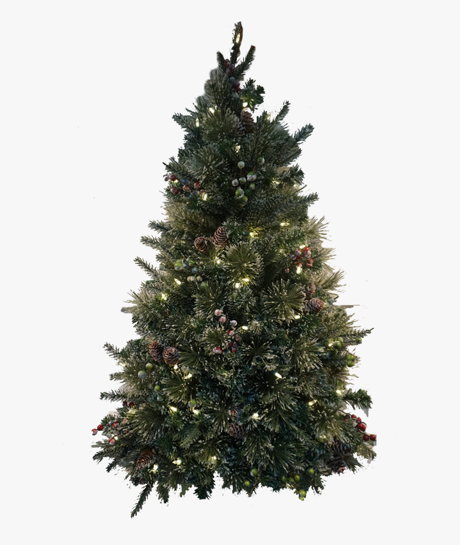 Holiday Decorations That Will Invite The Spirit Of - Real Christmas Tree Noble Fir, Transparent Clipart