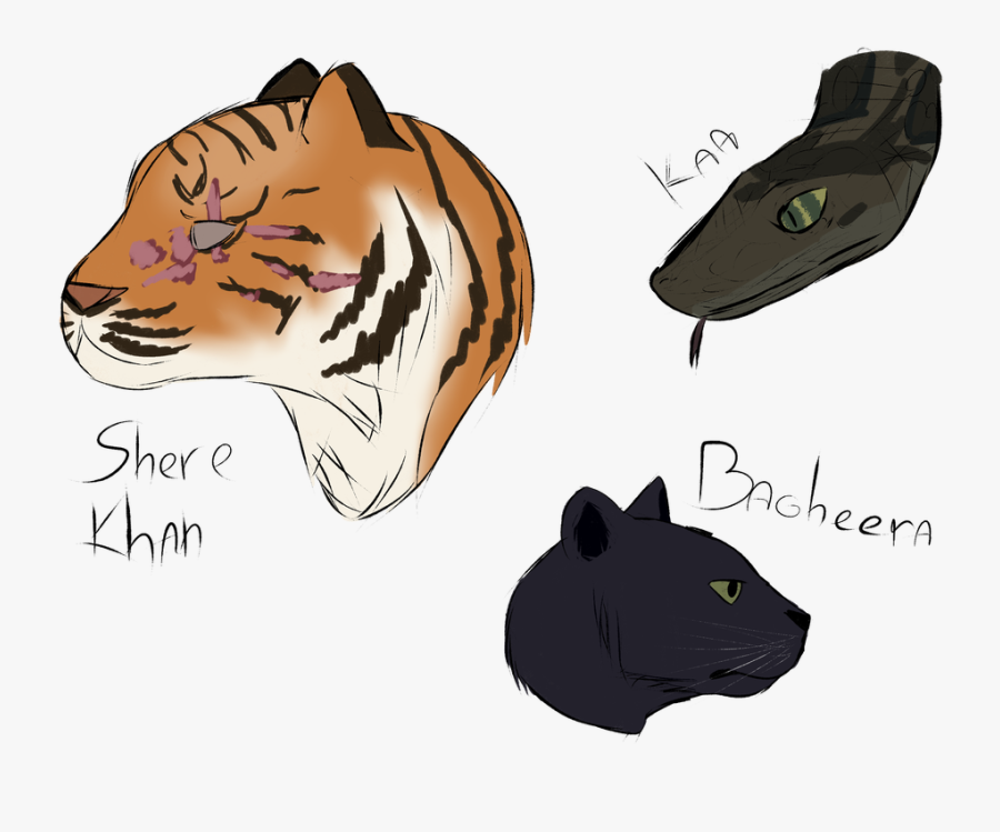 Drawing Panther The Jungle Book - Jungle Book Movie Draw, Transparent Clipart