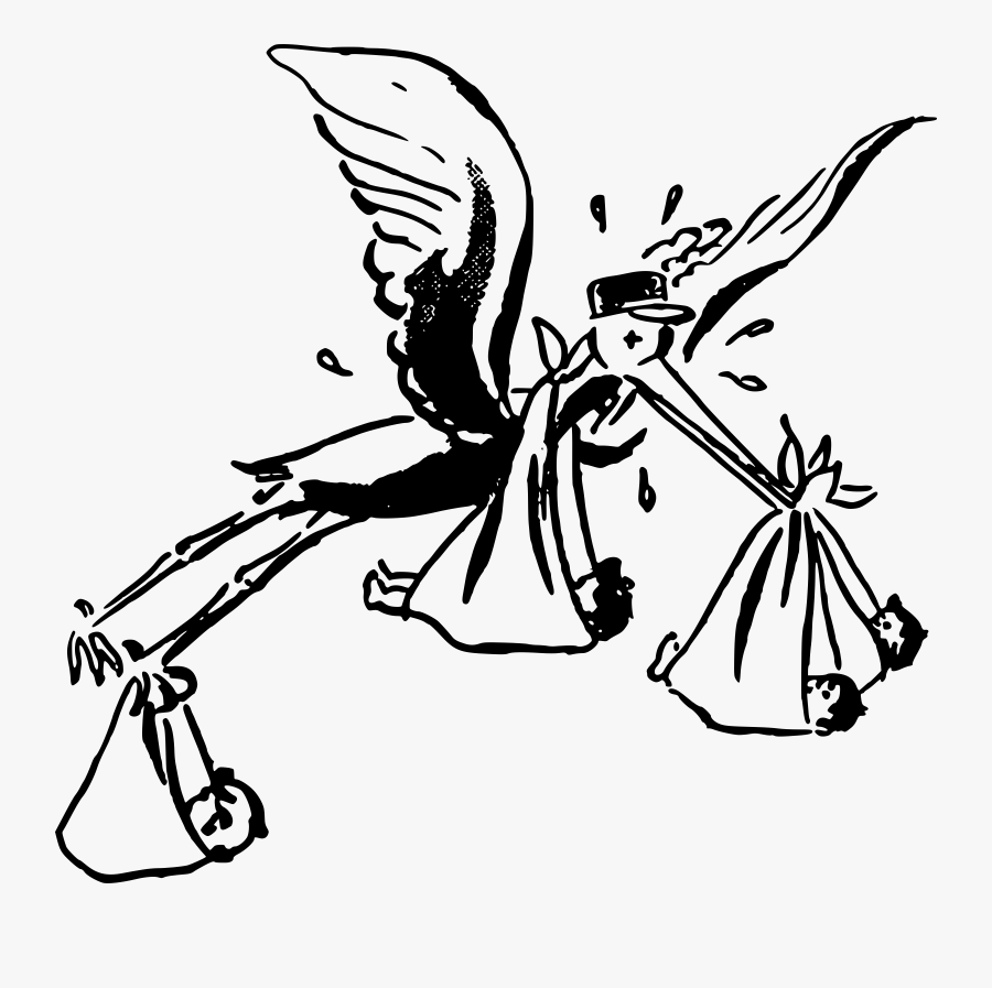 Stork Clipart Black And White - White Stork, Transparent Clipart