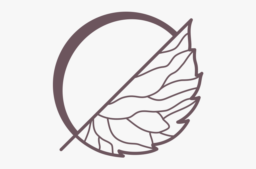 Circle, Transparent Clipart