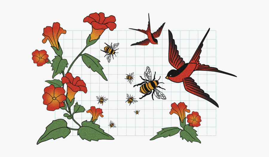 Clip Art, Transparent Clipart