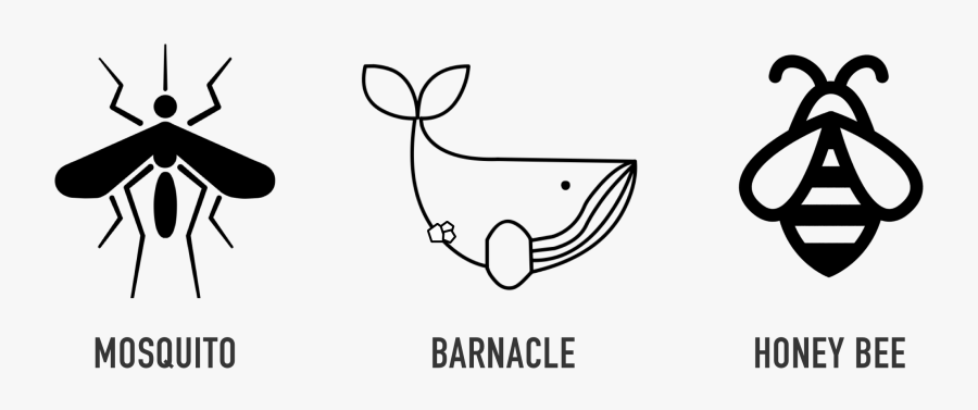 Honey, Transparent Clipart