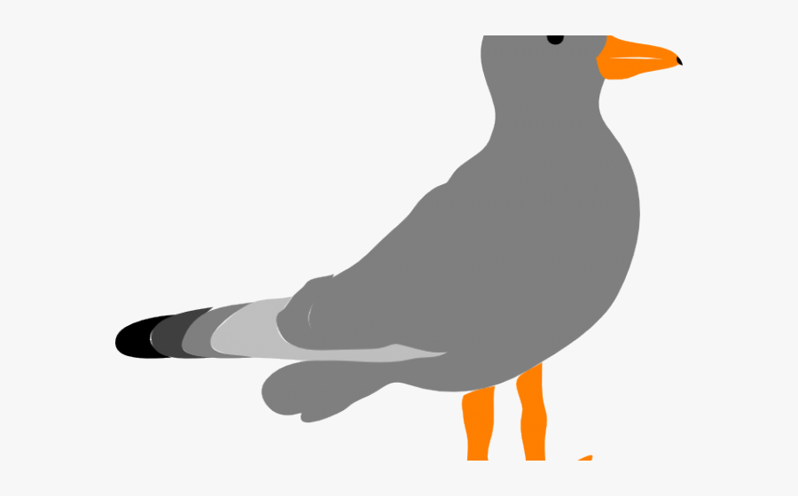 Transparent Seagull Png - Gulls Clipart, Transparent Clipart