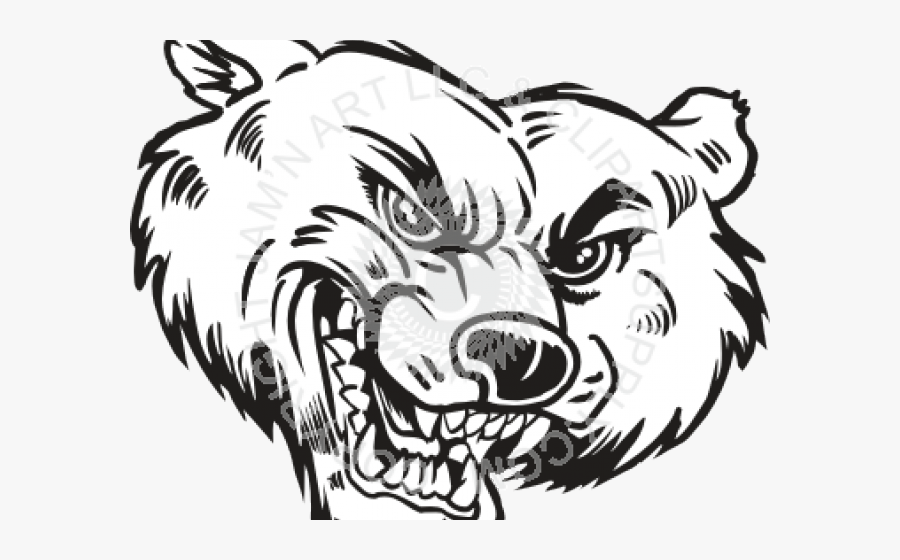 Bear Cat Cliparts - Bearcat Animal Black And White, Transparent Clipart