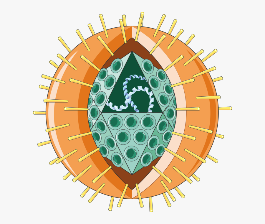 Herpes Virus, Transparent Clipart