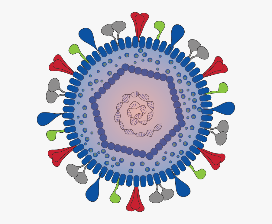 Team Freiburg Project Diseases - Herpes Simplex Virus Particle, Transparent Clipart