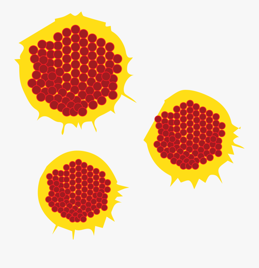 Genital Herpes - Illustration, Transparent Clipart