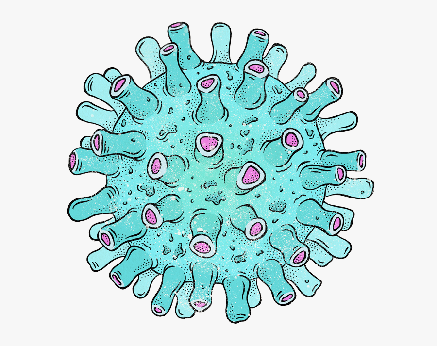 Circle, Transparent Clipart