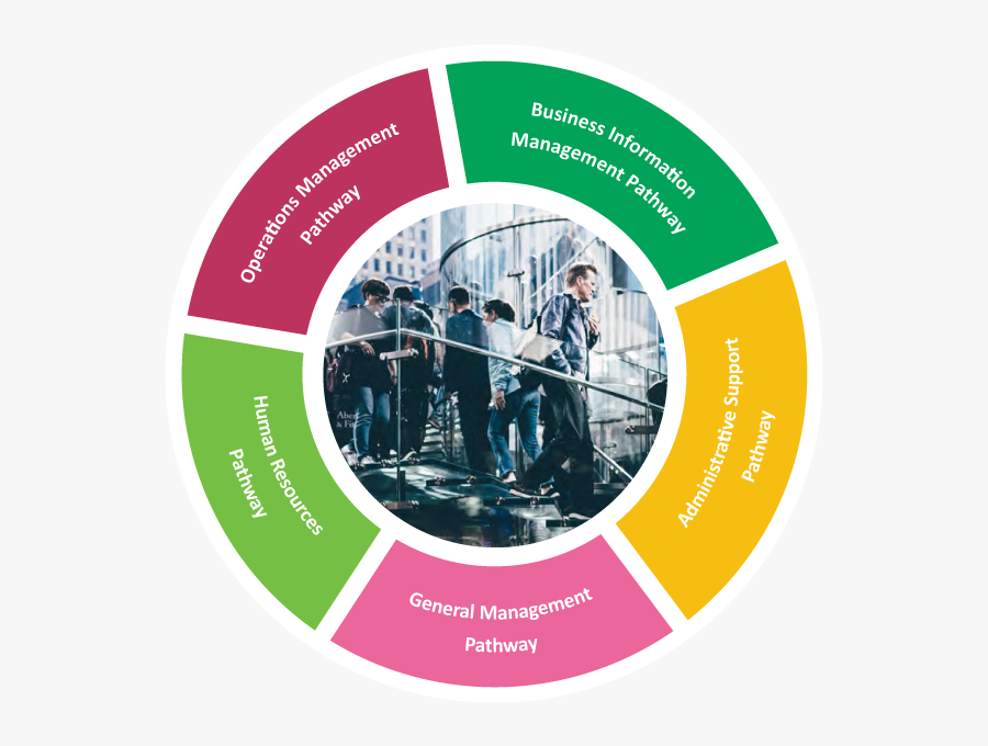 Business, Transparent Clipart