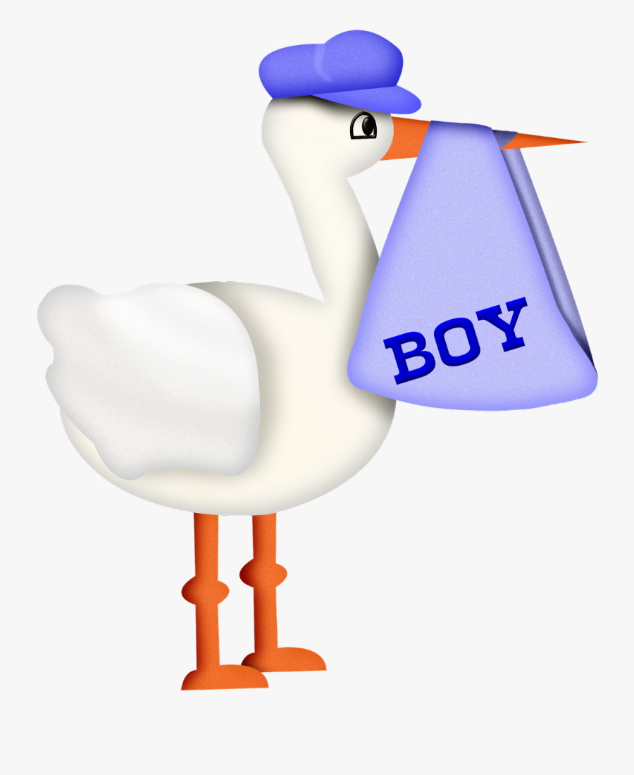 #baby #infant #boy #stork #freetoedit - Duck, Transparent Clipart