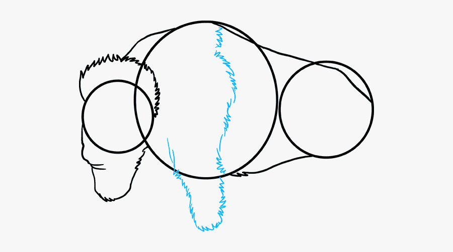 How To Draw Buffalo - Sketch, Transparent Clipart