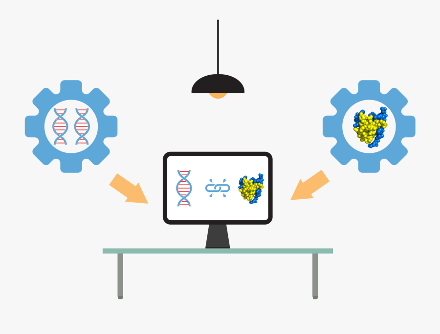 Gene Matching - Illustration, Transparent Clipart