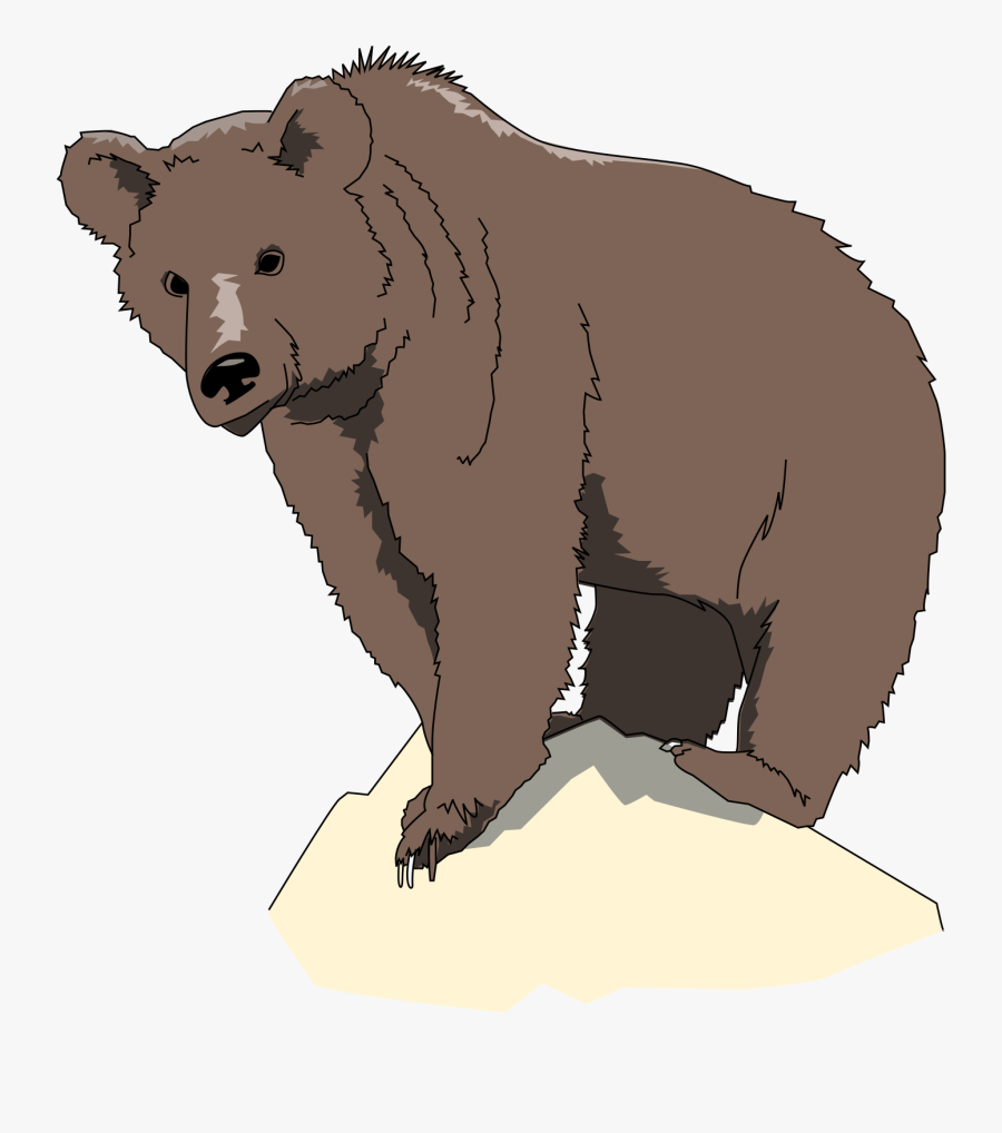 Clipart Bear Standing - Drawing Grizzly Clip Art, Transparent Clipart