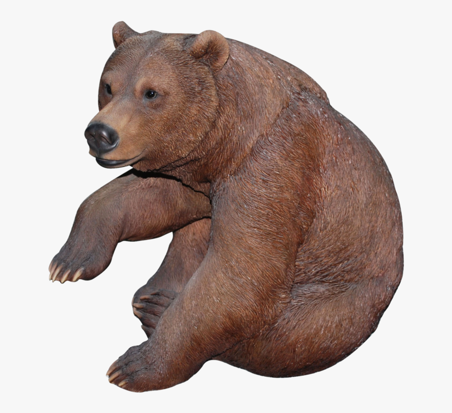 Bear Standing Png - Clip Art Baer, Transparent Clipart