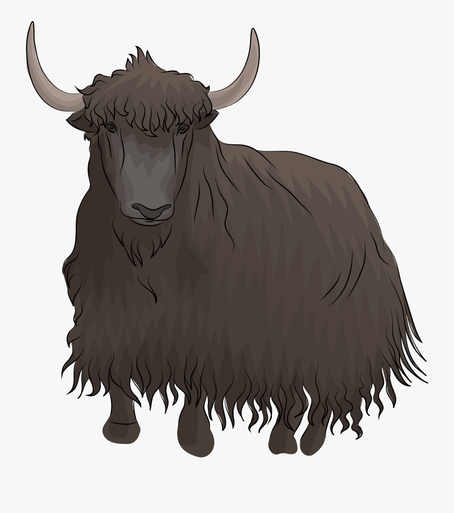 Bull, Transparent Clipart