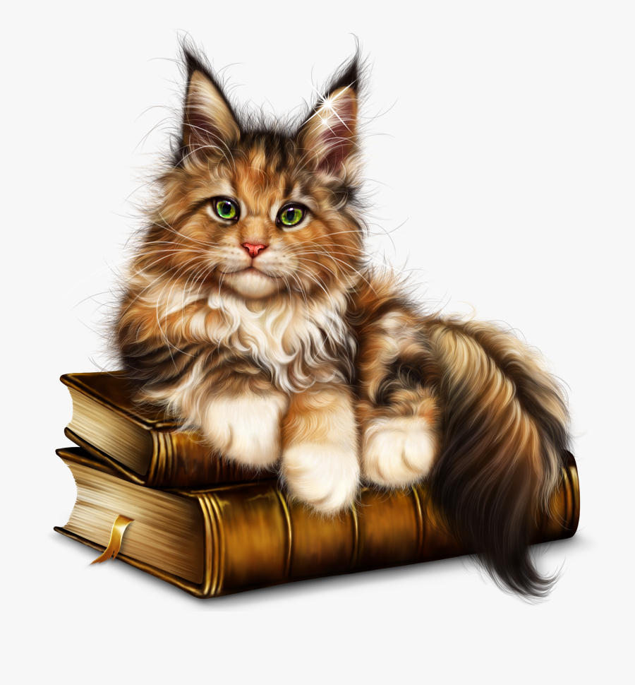 Kitten, Transparent Clipart
