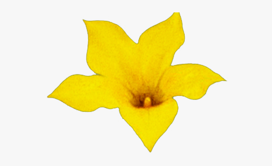Yellow Pumpkin Flower Clipart, Transparent Clipart