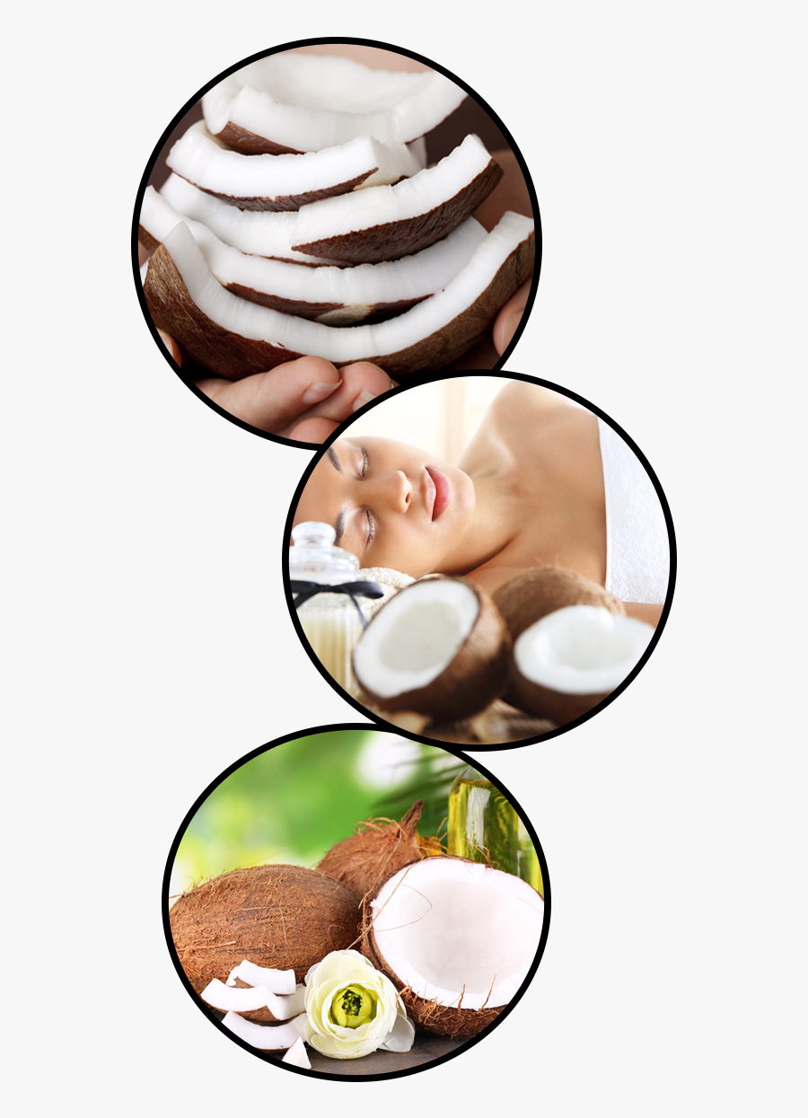 Natural Organic Croydon Surrey - Circle, Transparent Clipart