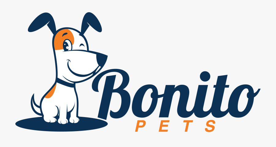 2011, Transparent Clipart