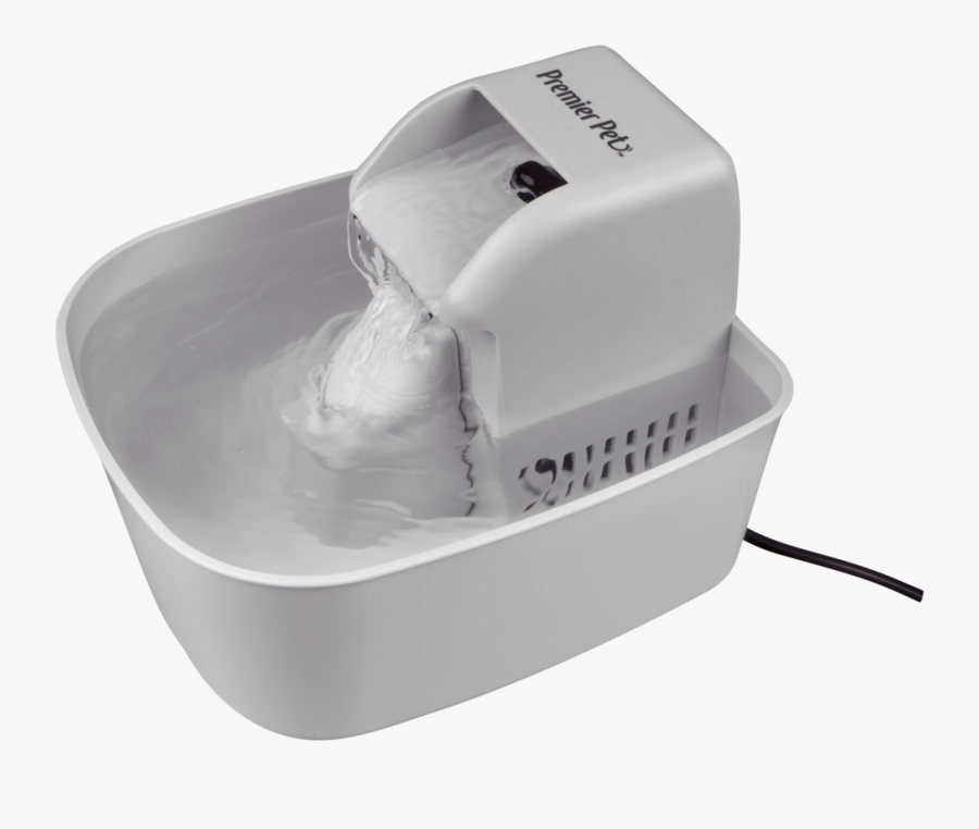 Pet, Transparent Clipart