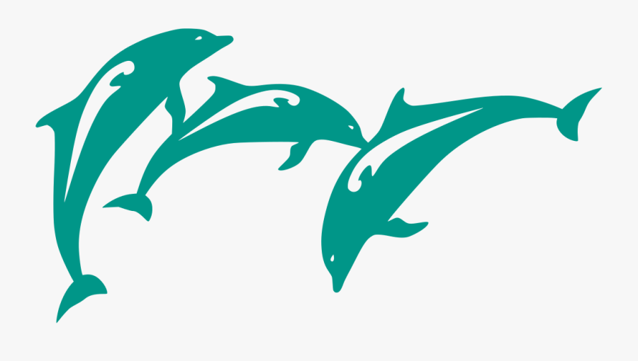 Dolphin Shirts , Transparent Cartoons - Dolphin Shirts, Transparent Clipart