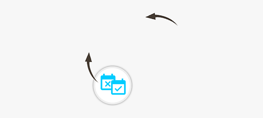 Seabird, Transparent Clipart