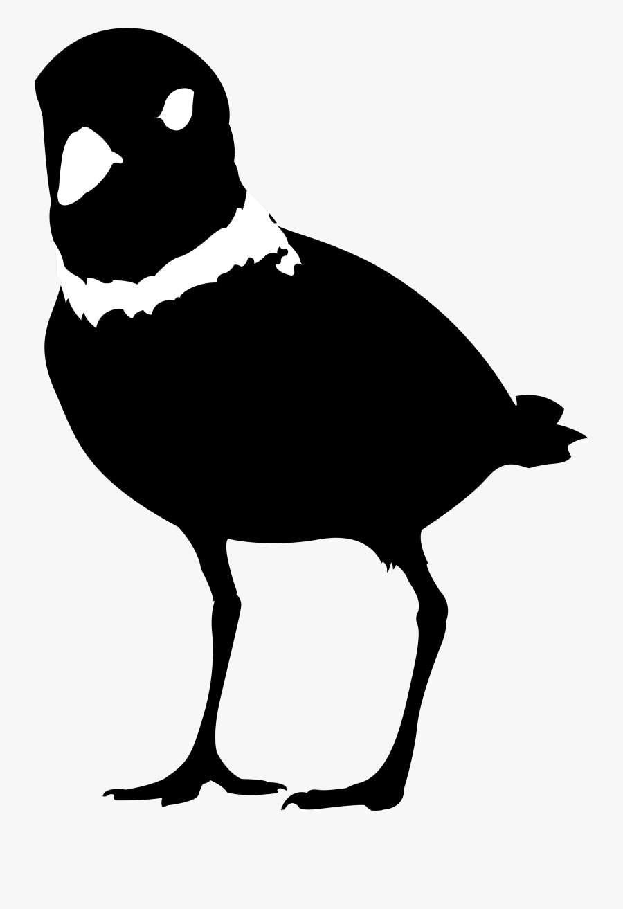 Rose Breasted Grosbeak, Transparent Clipart