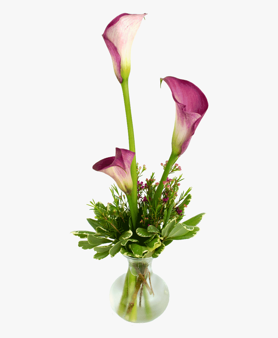 Calla Lily Png -calla Lily Png - Giant White Arum Lily, Transparent Clipart