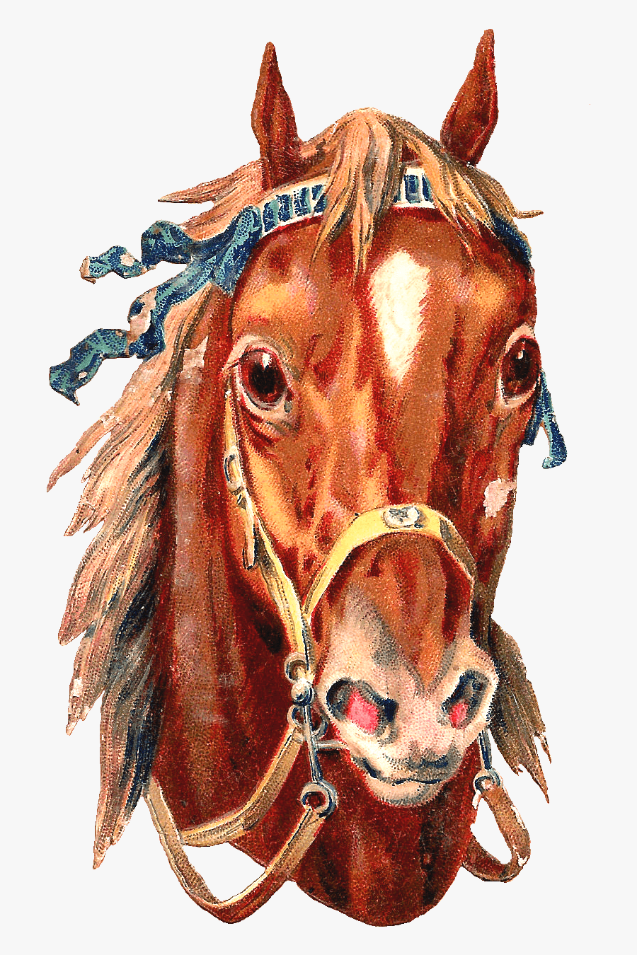 Free Horse Clip Art - Vintage Png Horse Race, Transparent Clipart