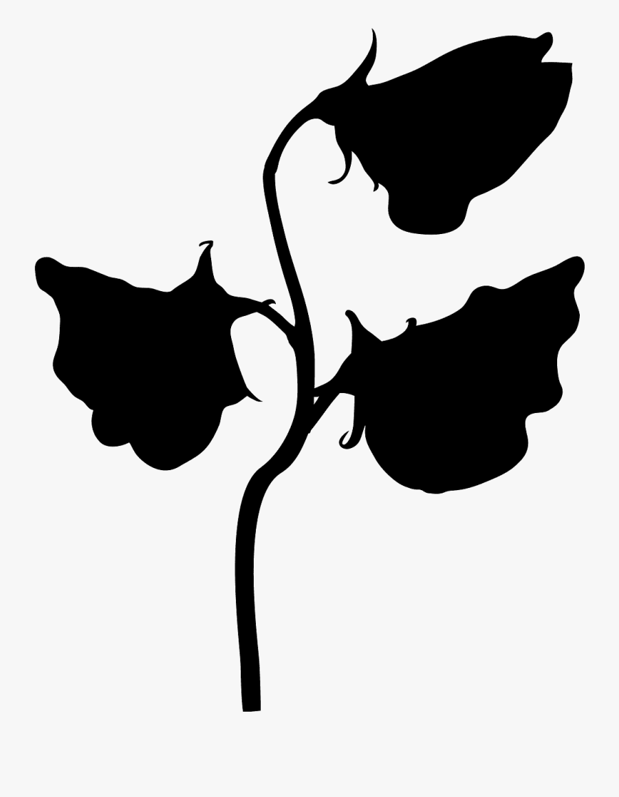 Black And White Sweet Pea, Transparent Clipart
