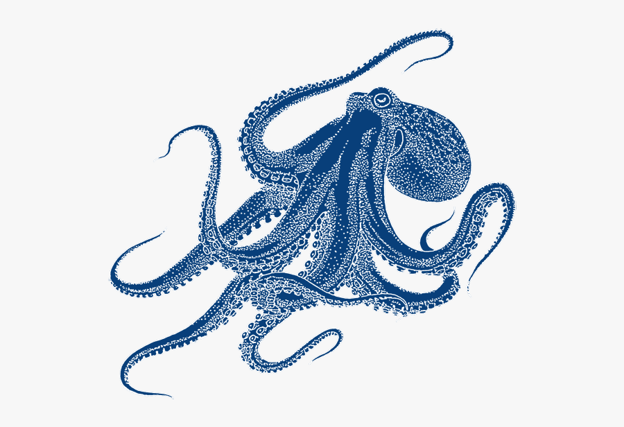 Oktopus Png Project Pinterest - Octopus Drawing, Transparent Clipart