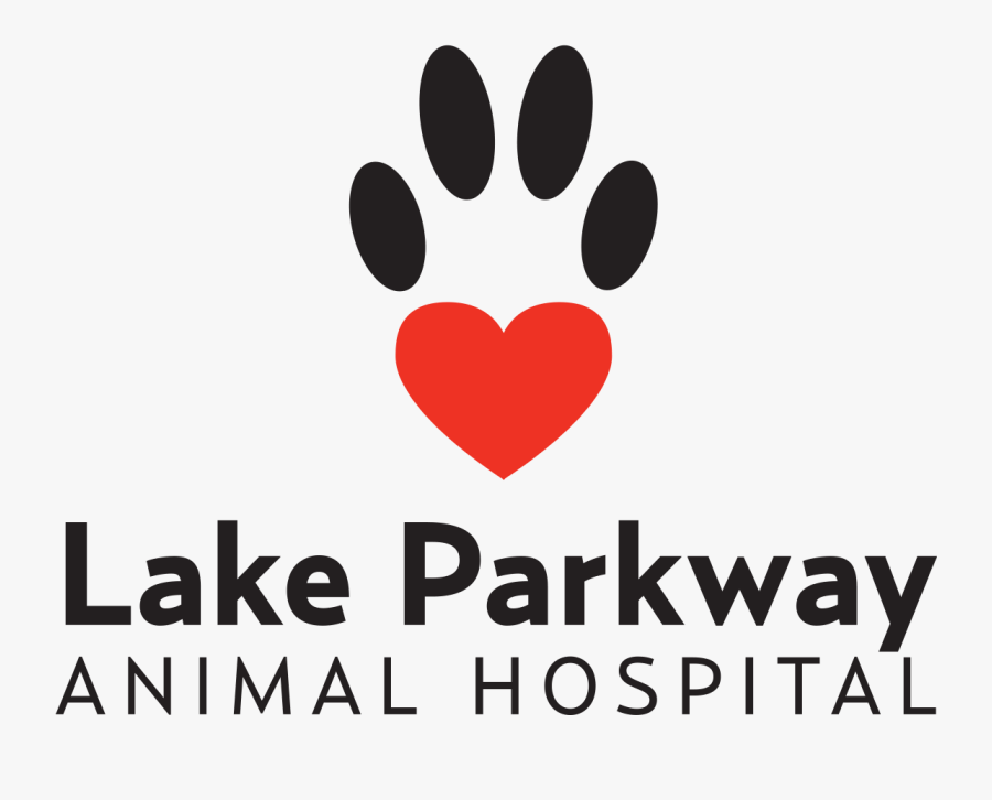 Oral Surgery, Dentistry And Dental Care Hygiene Counseling, Transparent Clipart