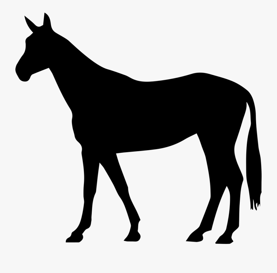 Transparent Horse Tail Png - Arabian Horse Clipart, Transparent Clipart