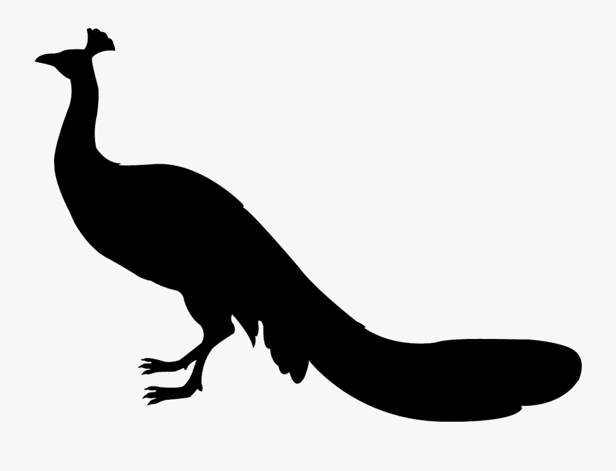 Silueta De Un Pavo Real, Transparent Clipart