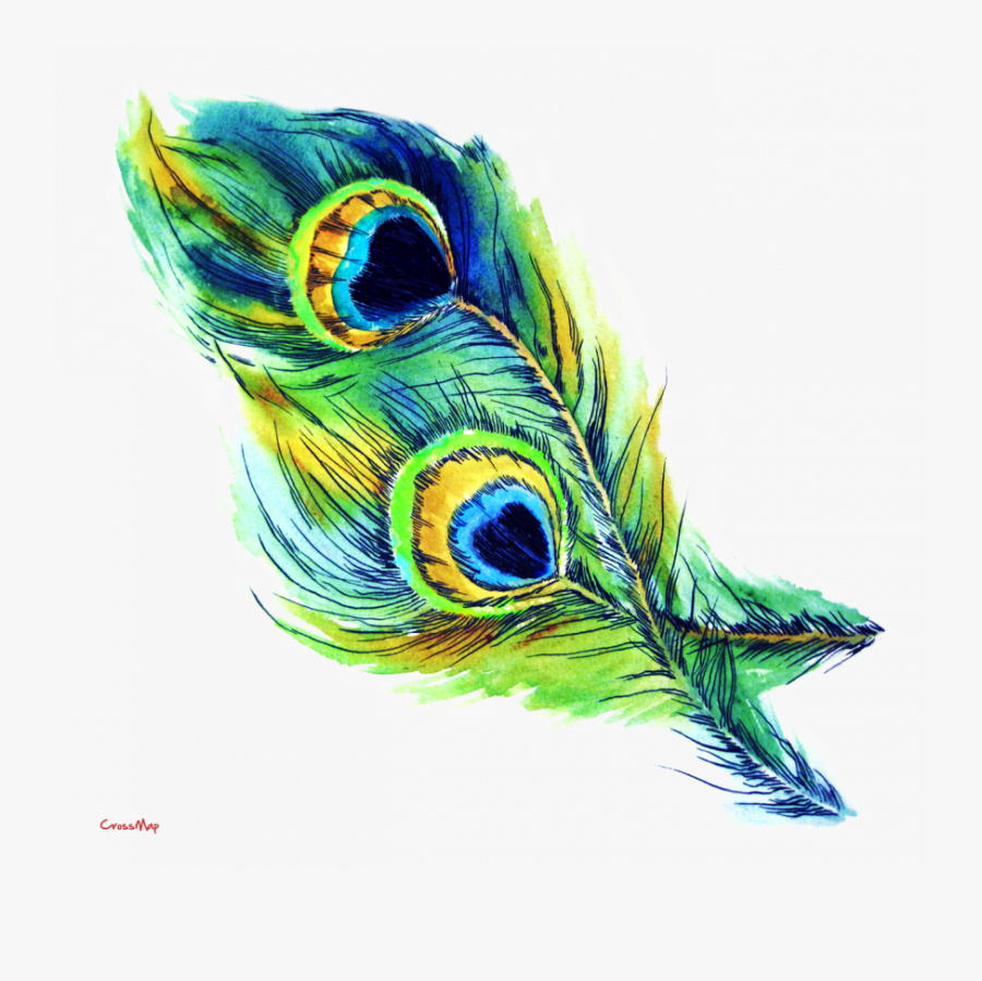 Jpg Library Download S Crossmap - Drawing Peacock Feather Art, Transparent Clipart