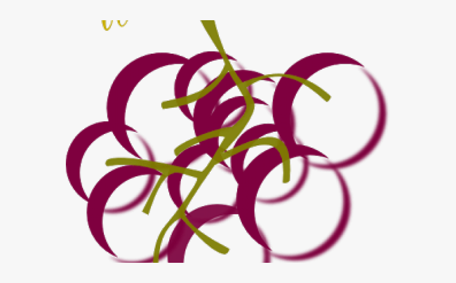Vineyard Clipart Transparent - Wine Grapes Clip Art, Transparent Clipart