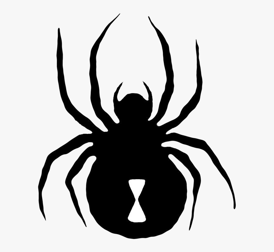 Transparent Cute Spider Clipart - Insect, Transparent Clipart