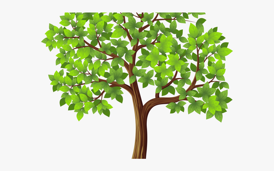 Transparent Transparent Background Tree Clipart, Transparent Clipart