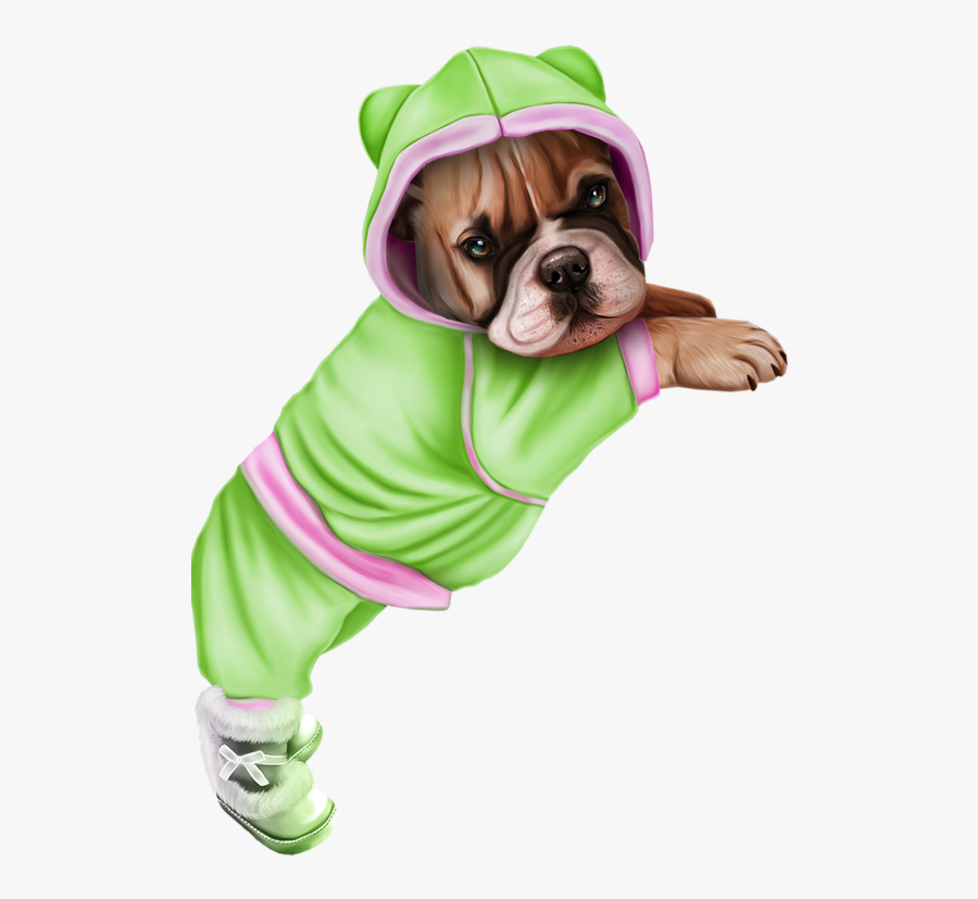 Dog, Transparent Clipart